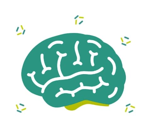A brain