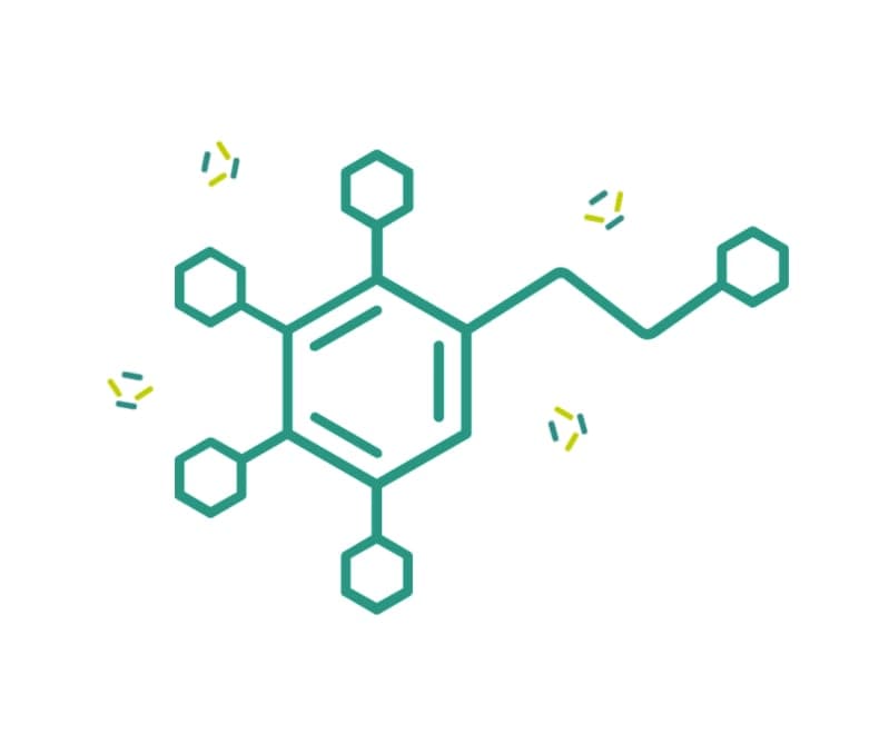 A line drawing of a molecule, a ringed structure with branches